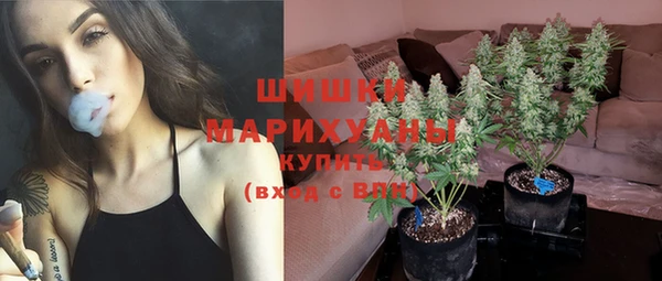 прущие крисы Баксан