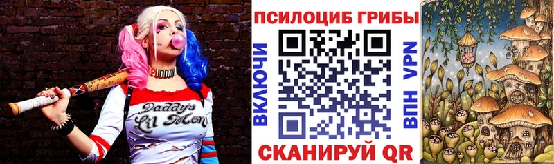 Псилоцибиновые грибы прущие грибы  Лабытнанги 